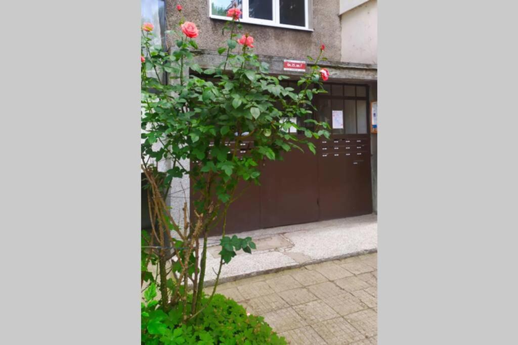 Lovely City Center 1Bd, 1Bt Apartment Sofia Zewnętrze zdjęcie